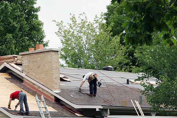 Best Storm Damage Roof Repair  in Rainsville, AL